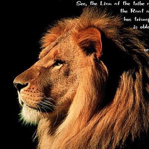 Meet your Posher, Dave